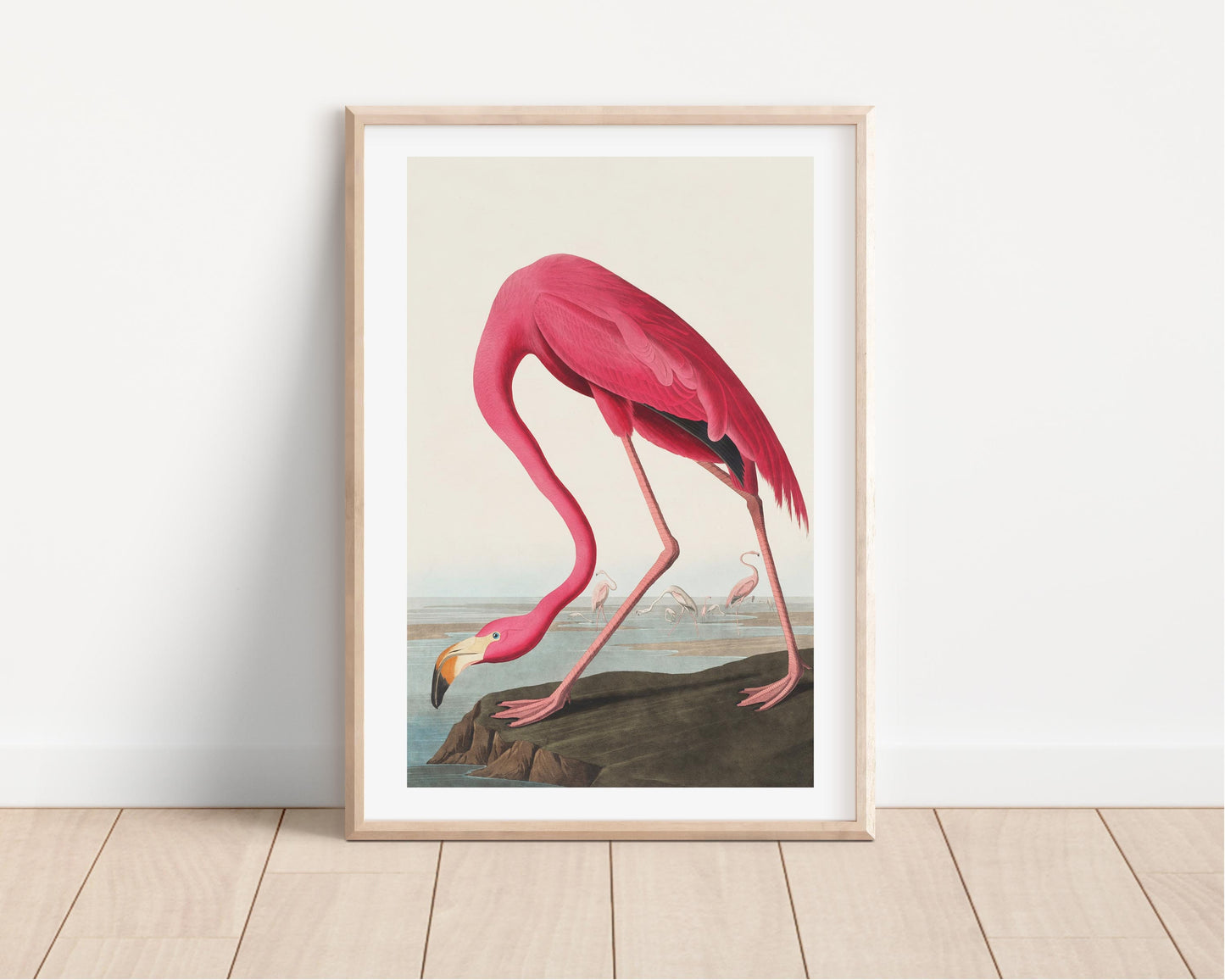 Pink Flamingo Vintage Art Print, Vintage Decor, Antique Bird Illustrations, John Audubon, Trending, Flamingo Vintage Print, Vintage Art