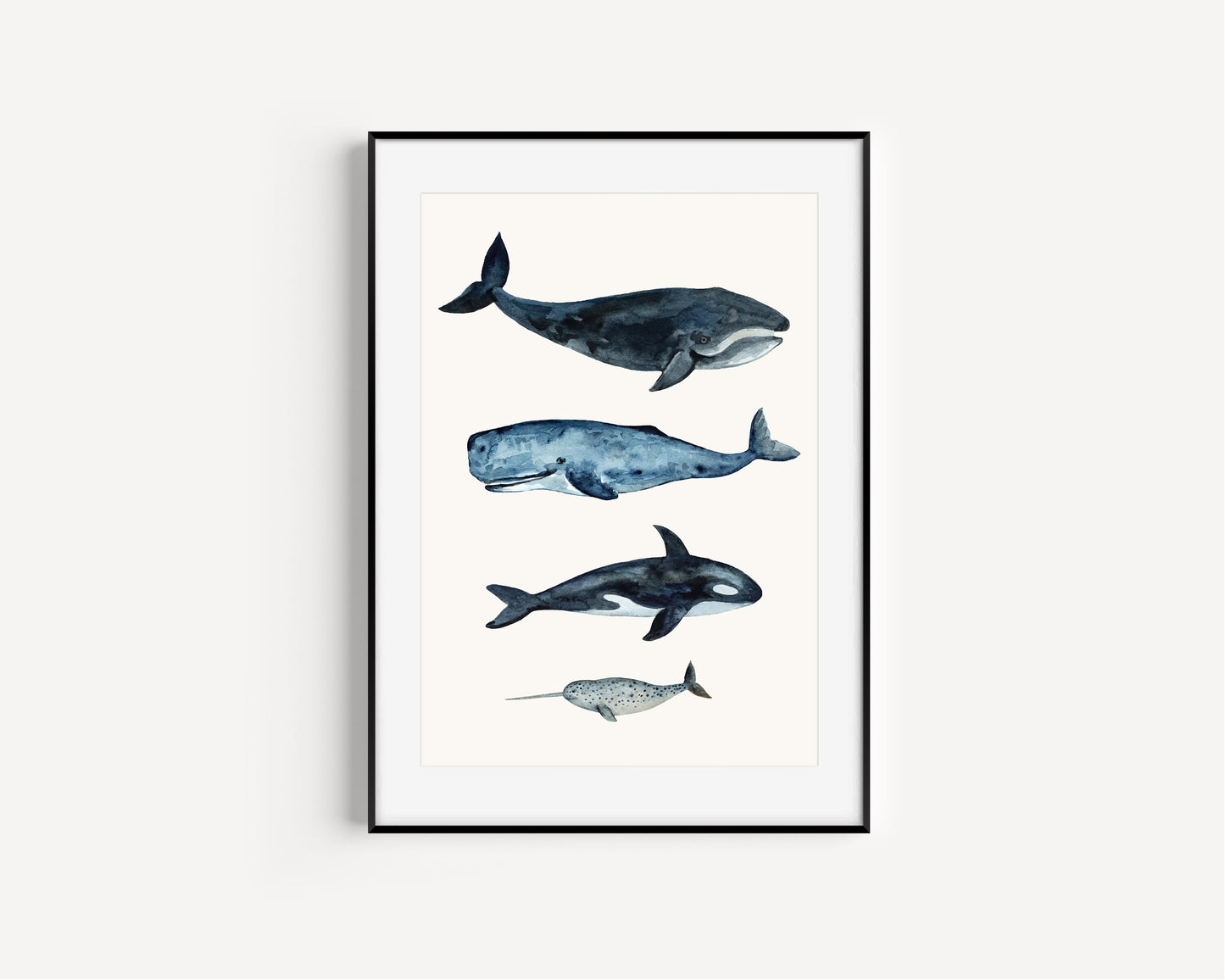Whale sizes art print, Kids Bedroom Print, Education print, Classroom décor, Whale watercolour gift art, Learning resources, Childrens Room,