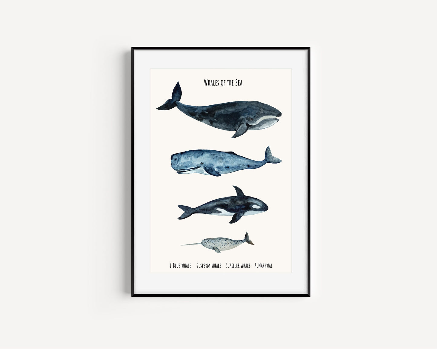 Whale sizes art print, Kids Bedroom Print, Education print, Classroom décor, Whale watercolour gift art, Learning resources, Childrens Room,