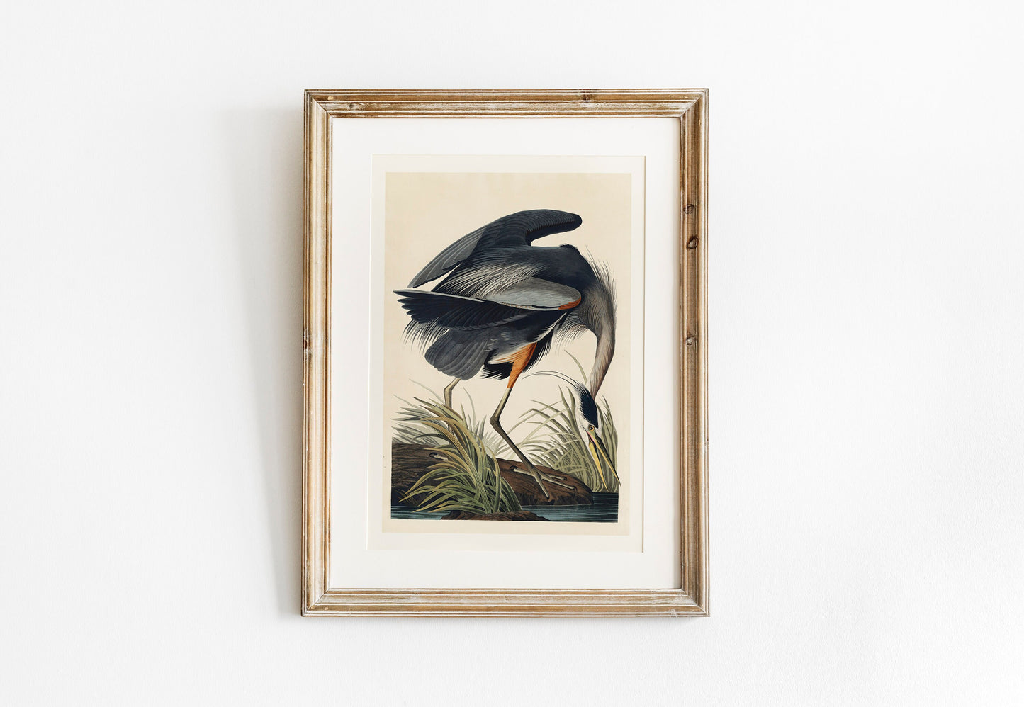 Great Blue Heron Vintage Art Print, Vintage Decor, Antique Bird Illustrations, John Audubon, Trending, Heron Vintage Print, Vintage Art