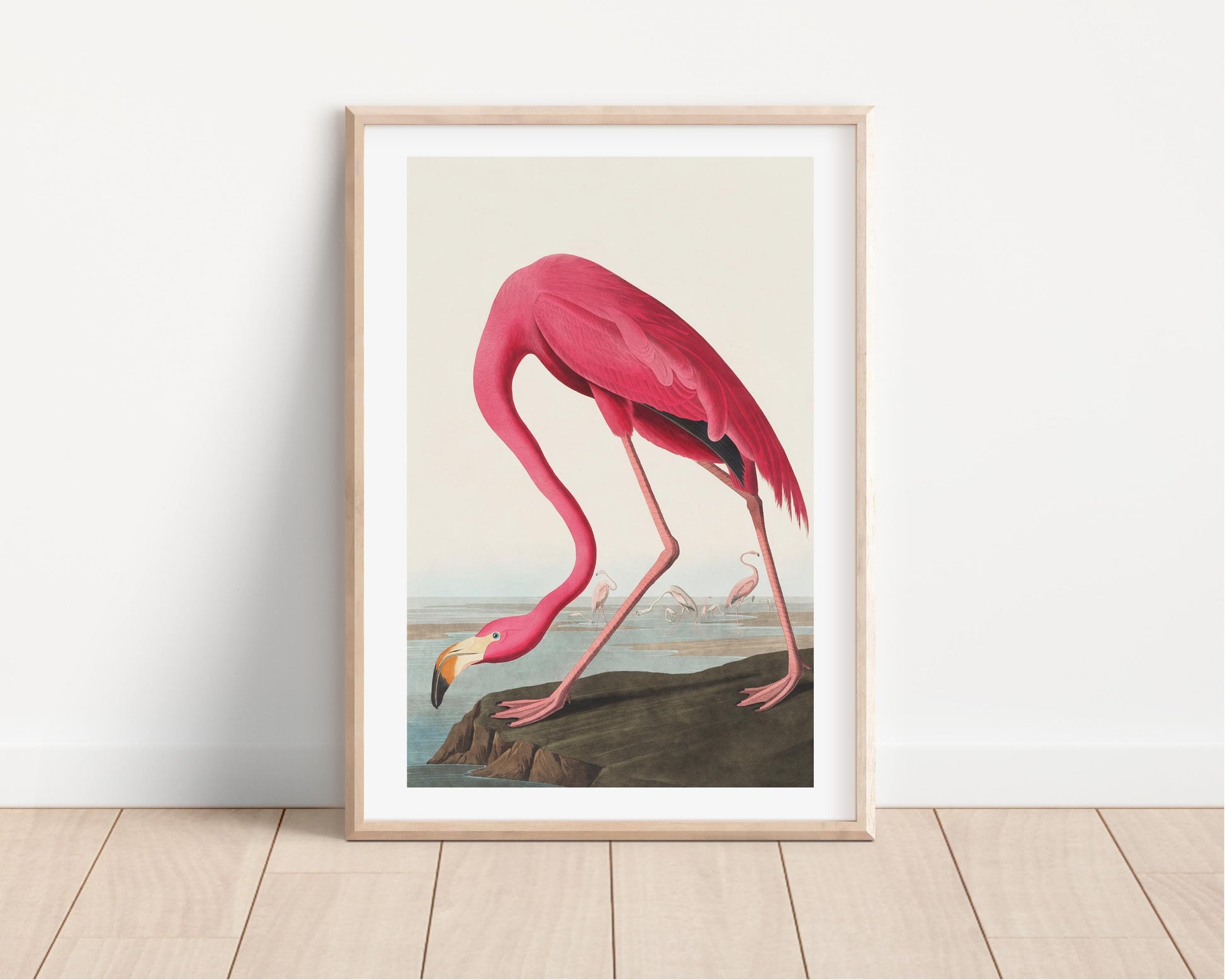 Pink Flamingo Vintage Art Print, Vintage Decor, Antique Bird Illustrations, John Audubon, Trending, Flamingo Vintage Print, Vintage Art