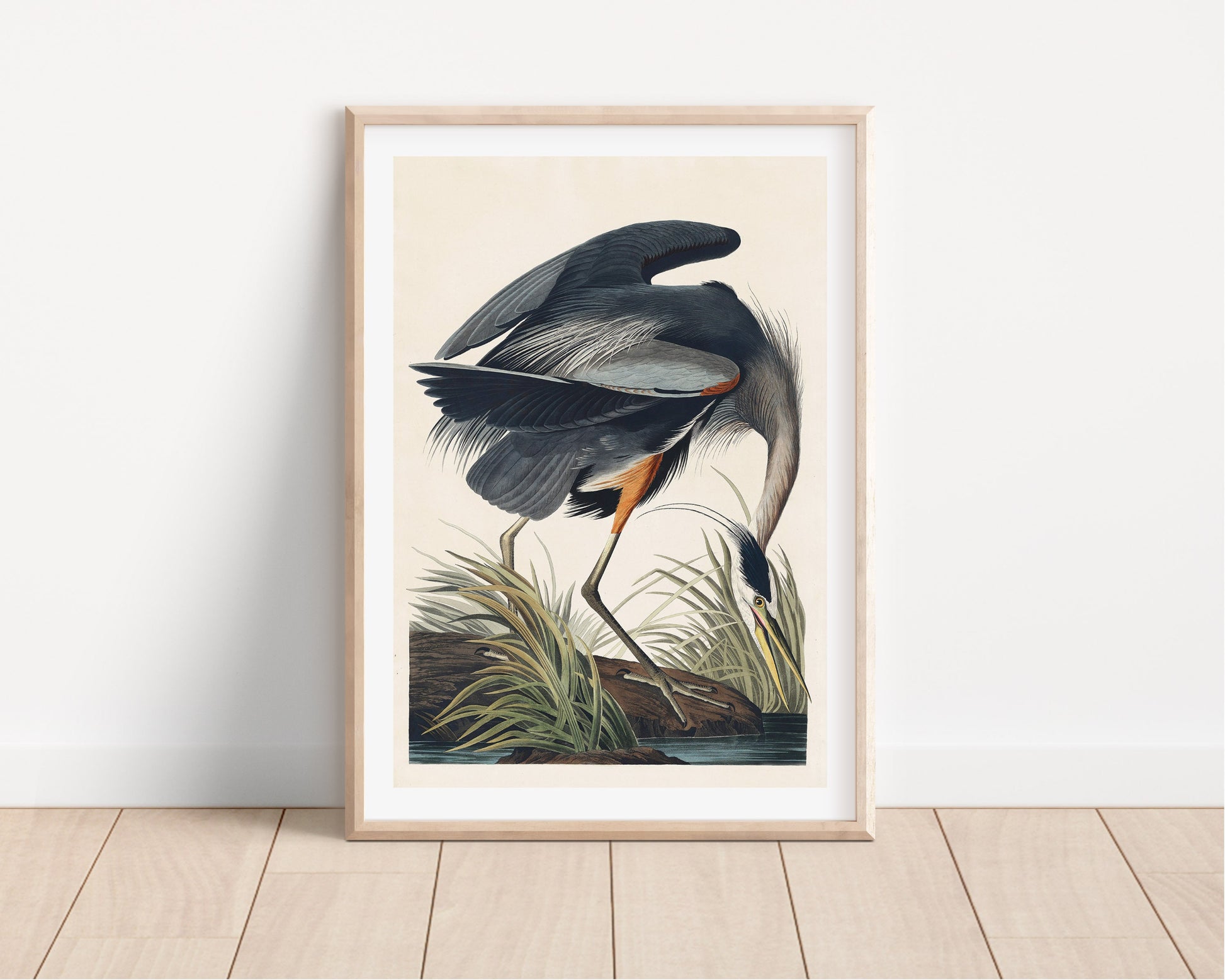 Great Blue Heron Vintage Art Print, Vintage Decor, Antique Bird Illustrations, John Audubon, Trending, Heron Vintage Print, Vintage Art