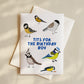 Tits for the Birthday Boy Card