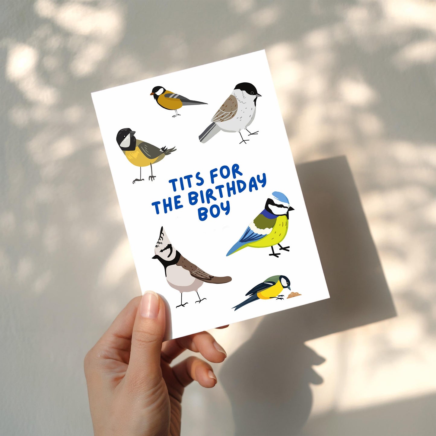 Tits for the Birthday Boy Card