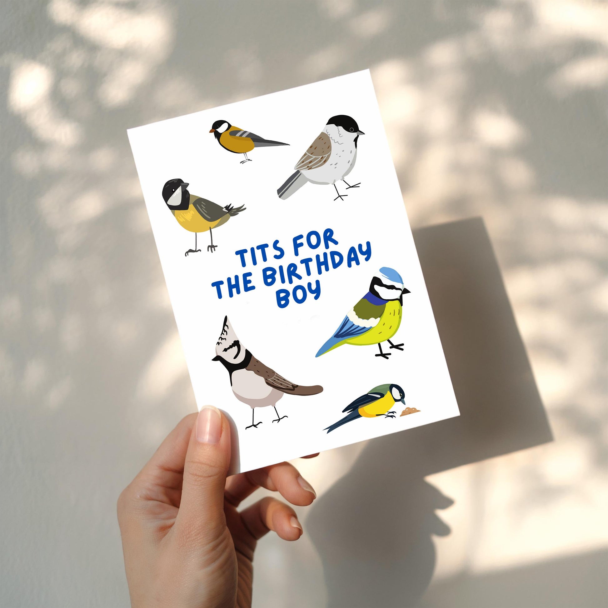 Tits for the Birthday Boy Card