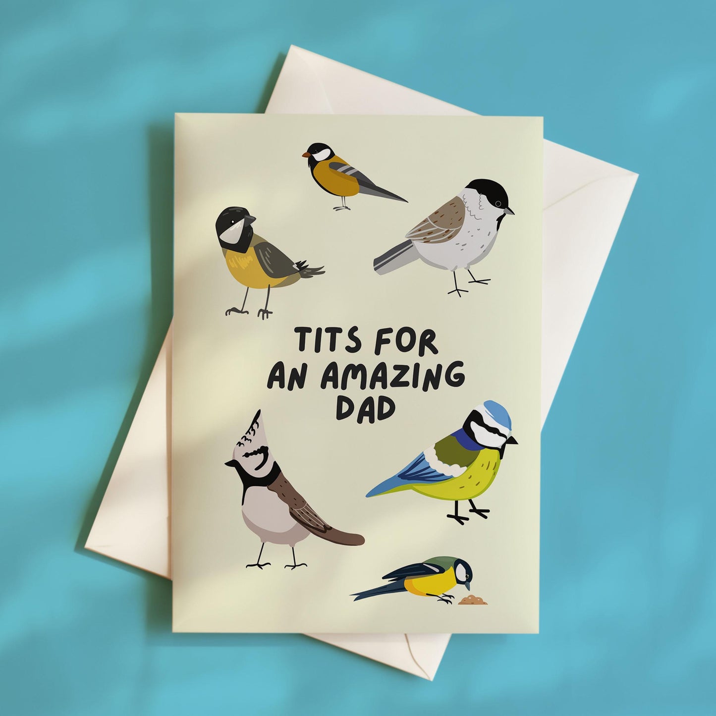 Funny Birthday Card For Dad