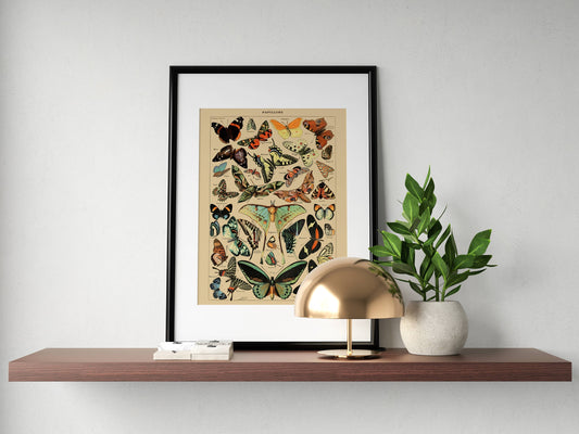 Butterfly Inspired Wall Art Print - Poster | Unframed | A4 | Butterfly Vintage Poster | Butterfly Gift | Vintage Butterfly Print