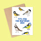 A greetings card with illustrations of different birds such as blue tits, marsh tits and the caption tits for the birthday boy.
