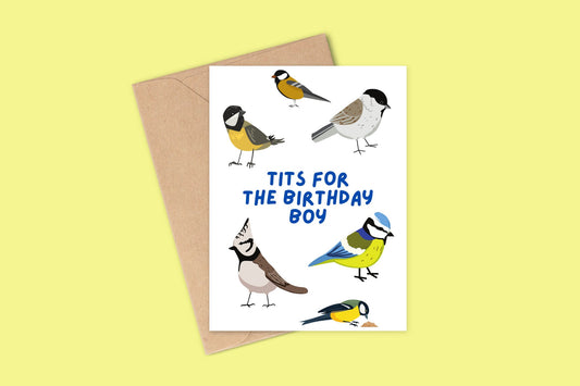 A greetings card with illustrations of different birds such as blue tits, marsh tits and the caption tits for the birthday boy.