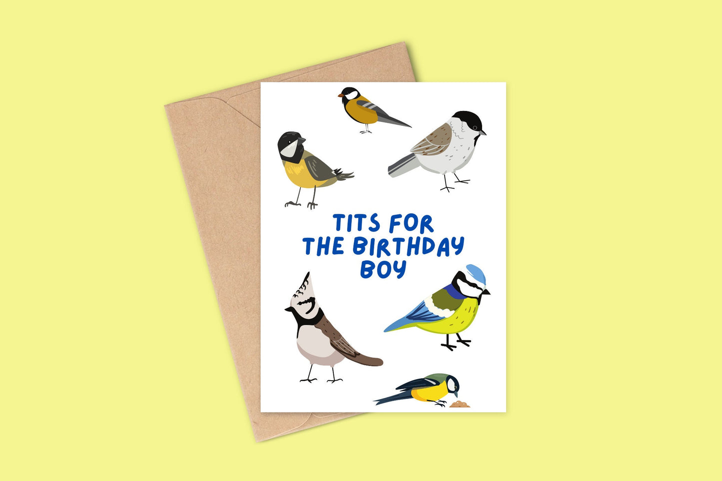 A greetings card with illustrations of different birds such as blue tits, marsh tits and the caption tits for the birthday boy.