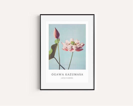 Botanical Print, Lotus Wall Art, Flower Print, Botanical Art, Flower Art, Room Decor, Home Office, Home Decor, Japanese Art, Aesthetic