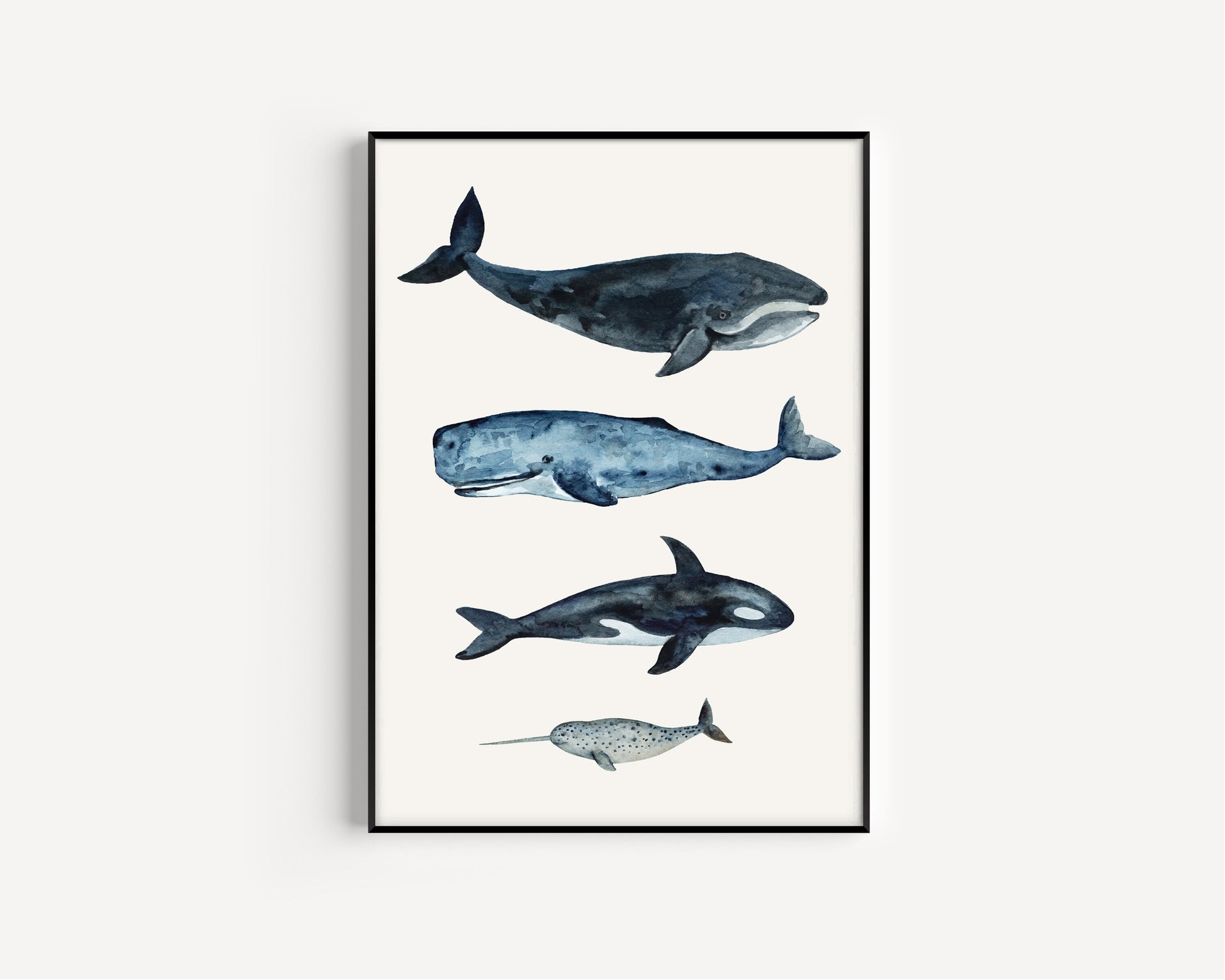 Whale sizes art print, Kids Bedroom Print, Education print, Classroom décor, Whale watercolour gift art, Learning resources, Childrens Room,