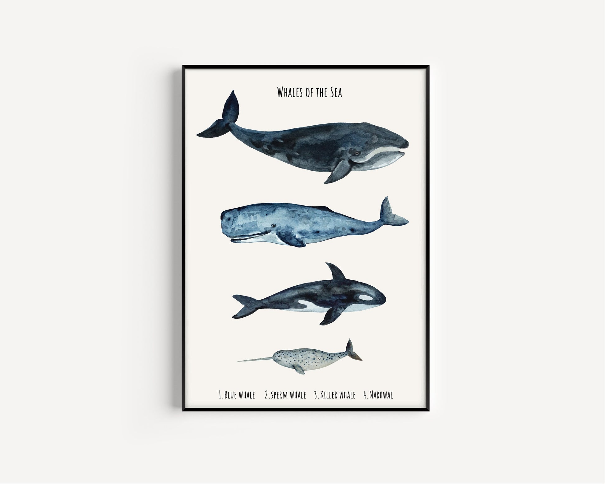 Whale sizes art print, Kids Bedroom Print, Education print, Classroom décor, Whale watercolour gift art, Learning resources, Childrens Room,