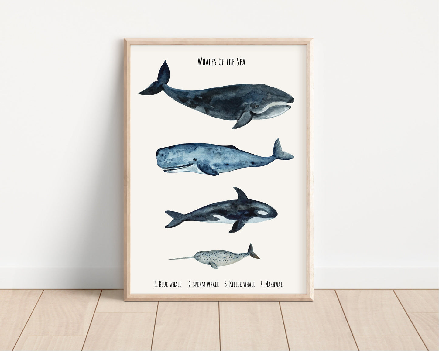 Whale sizes art print, Kids Bedroom Print, Education print, Classroom décor, Whale watercolour gift art, Learning resources, Childrens Room,
