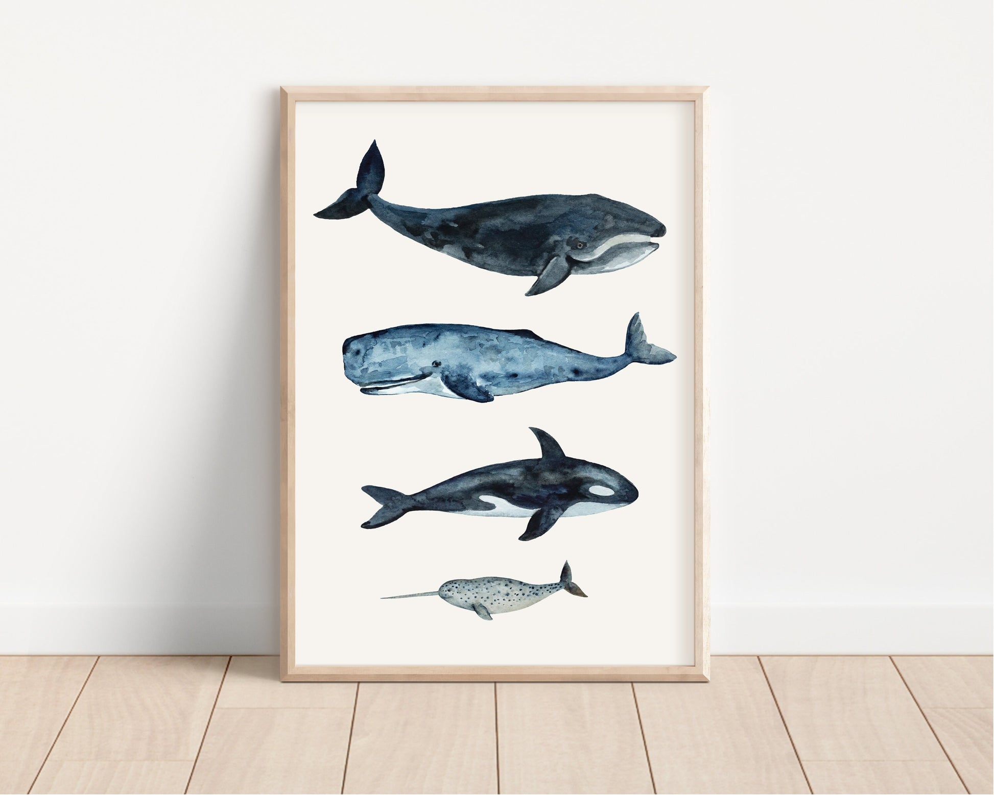 Whale sizes art print, Kids Bedroom Print, Education print, Classroom décor, Whale watercolour gift art, Learning resources, Childrens Room,