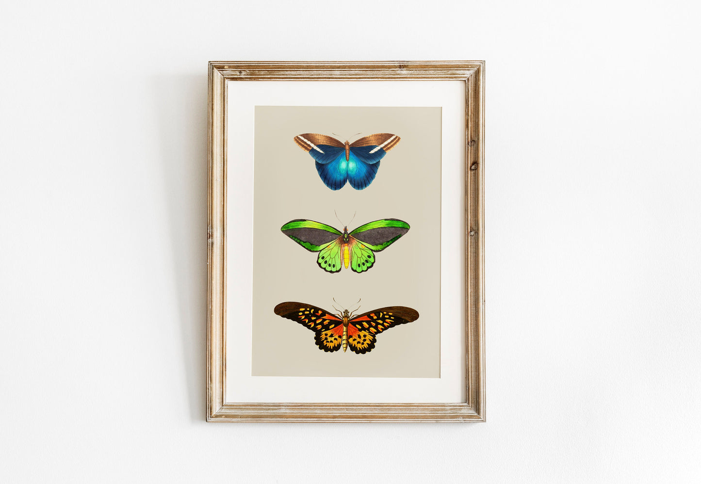 Butterfly Wall Art Print , Vintage Butterfly Print, Unframed, Butterflies, A4, A3, A2, A1, Butterfly Poster, Butterfly Gift, Vintage Decor,