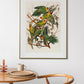 Parrots Vintage Art Print, Vintage Decor, Antique Bird Illustrations, John Audubon, Trending, Carolina Parrots Vintage Print, Vintage Art