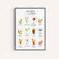 Classic Cocktails Print, Cocktails Poster, Cocktails Art, Cocktail Gifts, Bar Print, Cocktails, Cocktail Selection, Kitchen Art, Dining Room