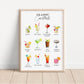 Classic Cocktails Print, Cocktails Poster, Cocktails Art, Cocktail Gifts, Bar Print, Cocktails, Cocktail Selection, Kitchen Art, Dining Room