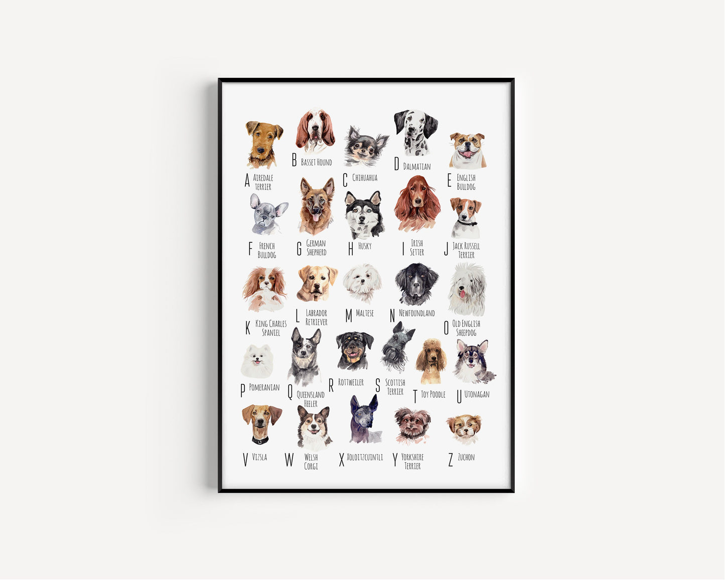 A-Z of Dogs Print, Dogs Alphabet, Dog Print Illustration, Pet Illustrations, Dog Lovers Gift, Dog Poster, Dog Prints, Dogs, Dog Breeds