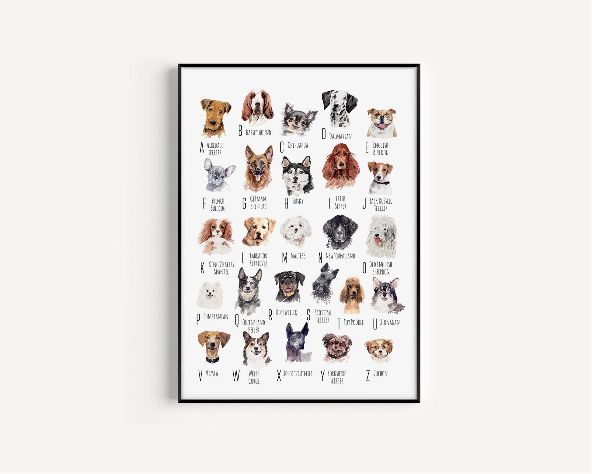 A-Z of Dogs Print, Dogs Alphabet, Dog Print Illustration, Pet Illustrations, Dog Lovers Gift, Dog Poster, Dog Prints, Dogs, Dog Breeds