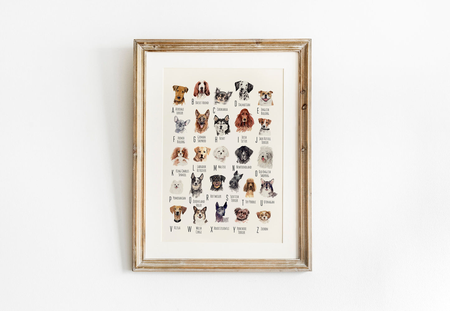 A-Z of Dogs Print, Dogs Alphabet, Dog Print Illustration, Pet Illustrations, Dog Lovers Gift, Dog Poster, Dog Prints, Dogs, Dog Breeds